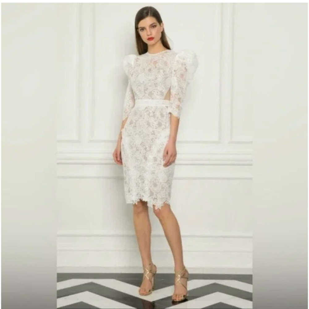 NWT Madeleine Dress